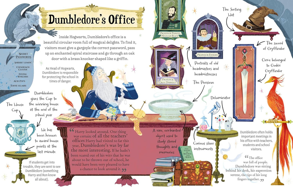 Harry Potter Pocket Potter: Professor Dumbledore (Hardback)