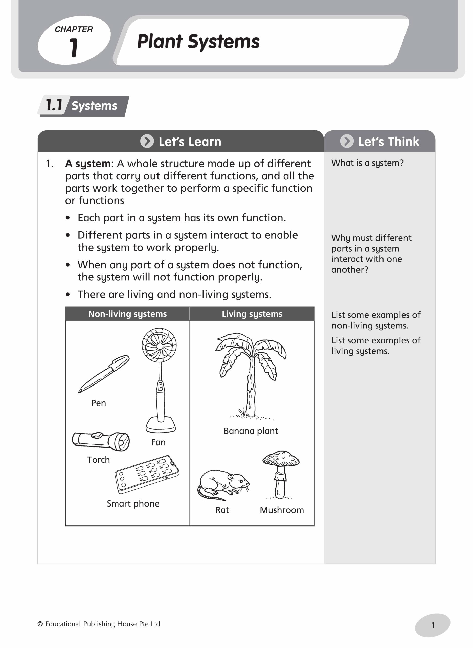 Primary 4 Science Practice – Popular Book Company Pte Ltd