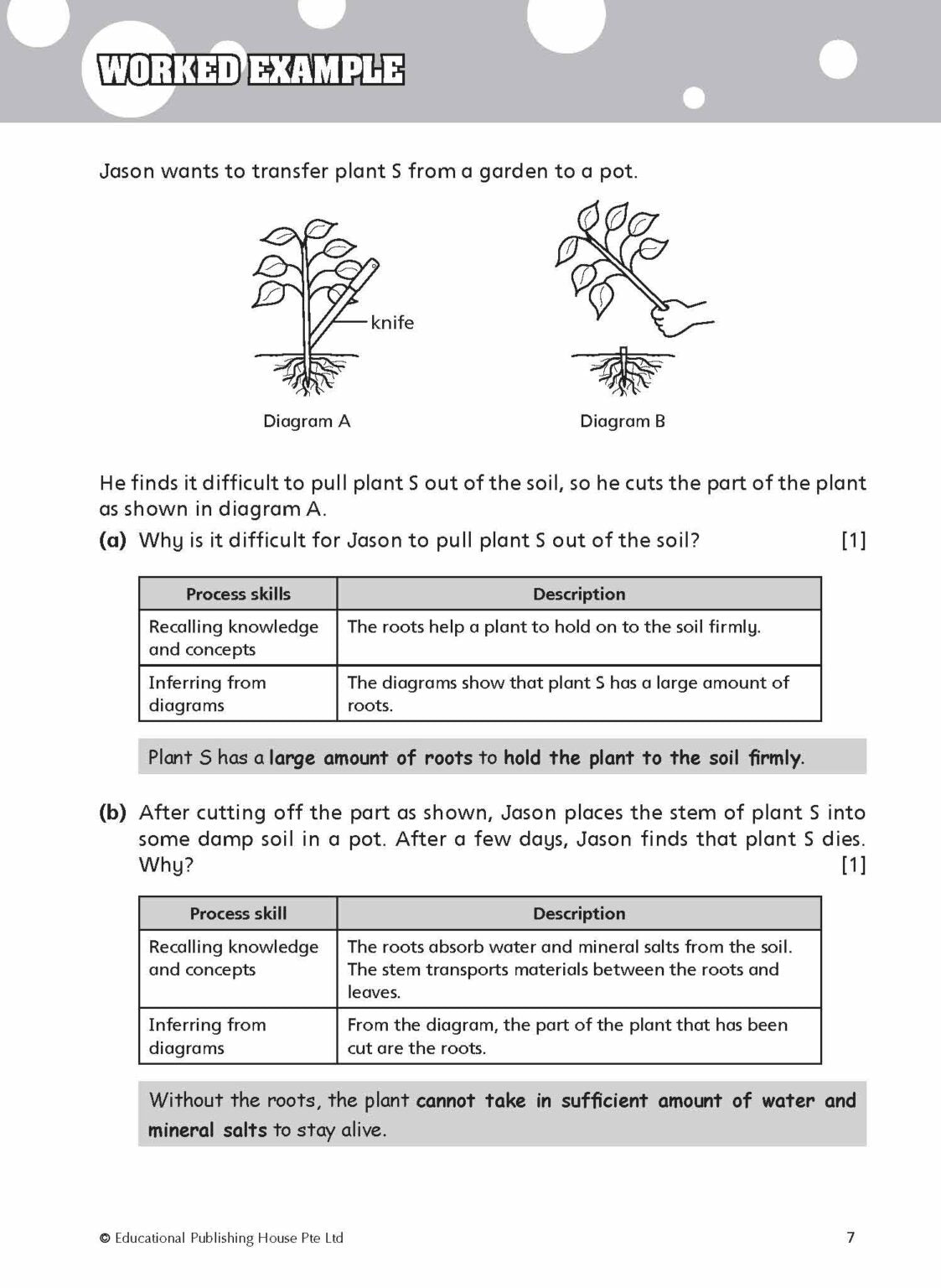 Primary 4 Must Know Science Process Skills & Key Words (2nd Edition)
