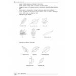 New Topical Science Primary 4 - 2nd Edition
