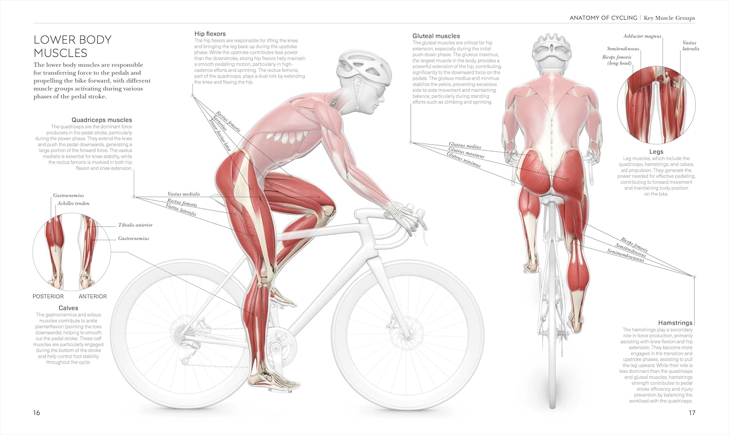 Science of Cycling: Transform Your Ride, Gain Strength, Revolutionize Your Training (Paperback)
