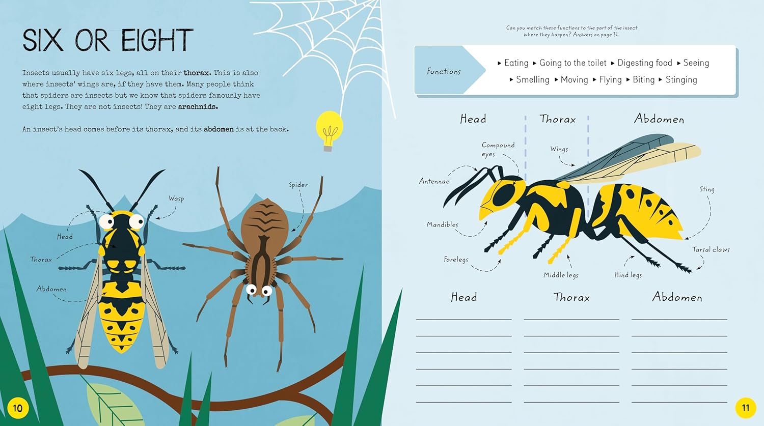 STEM Starters for Kids: Insects Activity Book: Activities for Little Entomologists (Paperback)