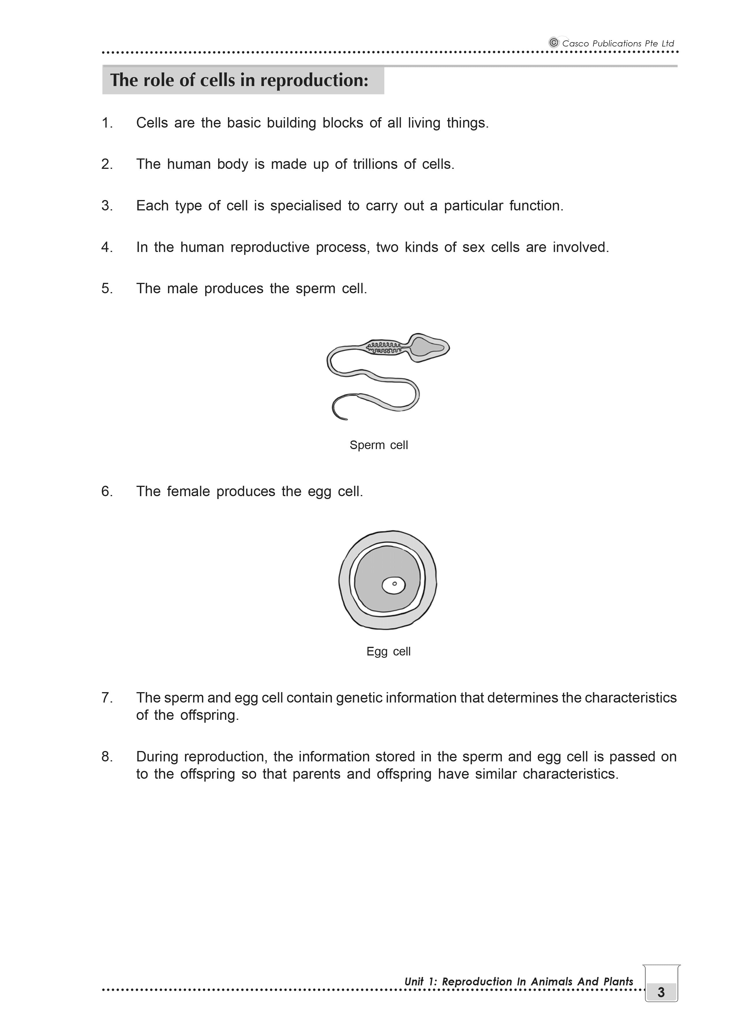 New Topical Science Primary 5 - 2nd Edition