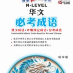 N-Level Chinese Examinable Idioms Guide Book / 会考加分手册 N-LEVEL华文必考成语