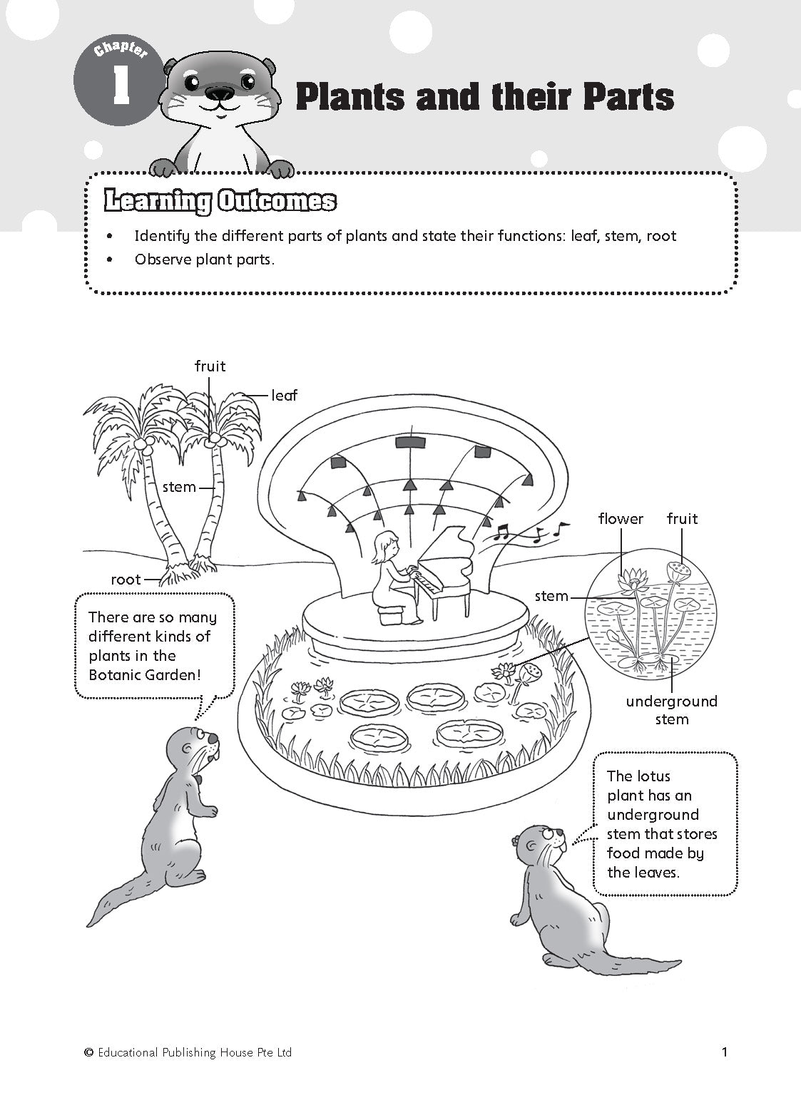 P4 Must Know Science Process Skills & Key Words 