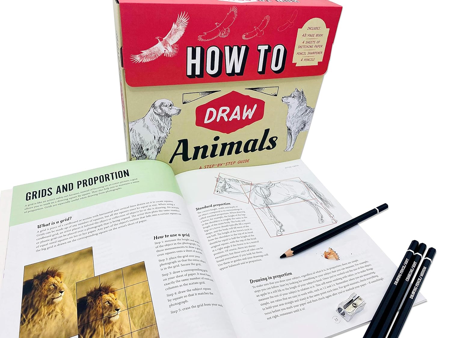 How To Draw Animals (Adult Wallet) Paperback