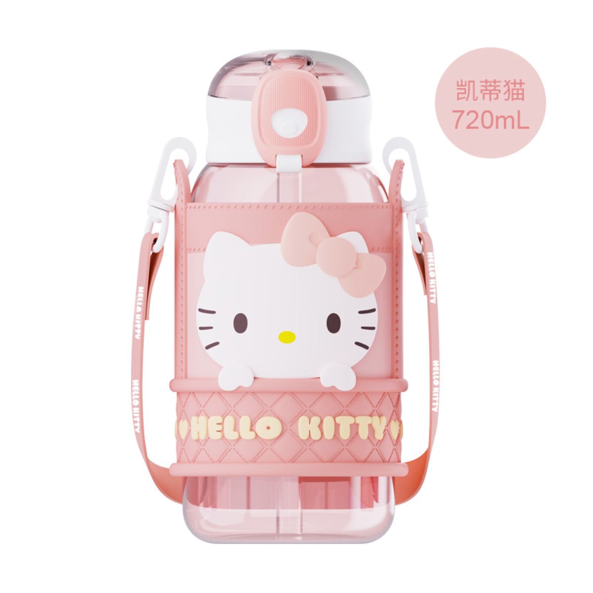 ASSORTED SANRIO WATER BOTTLE 720ML 3206