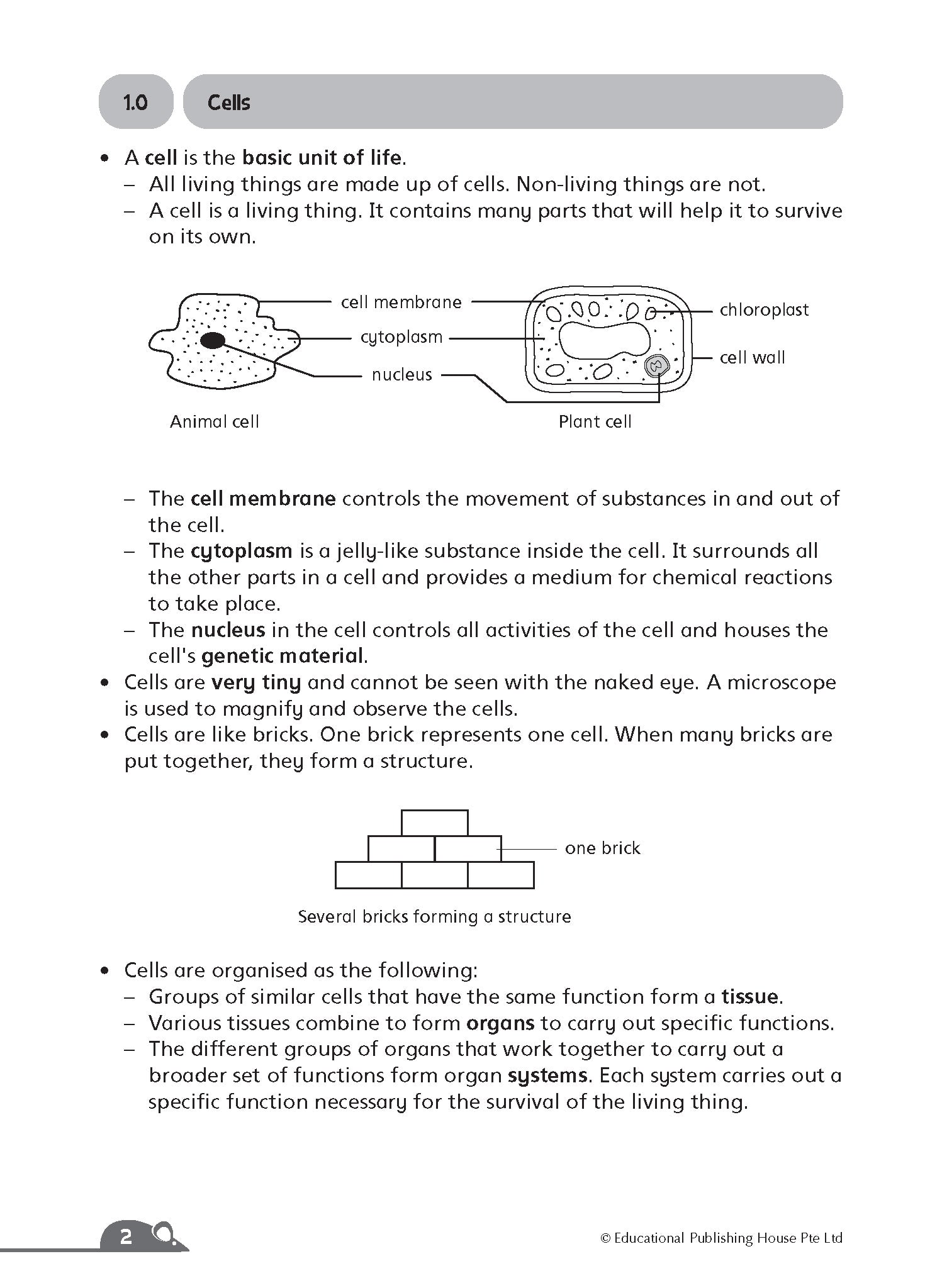 Primary 5 Complete Science Essentials
