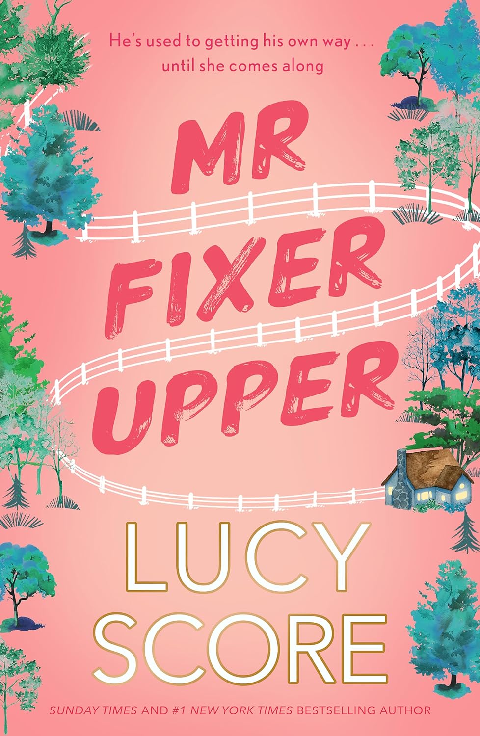 MR Fixer Upper: The New Romance from the Bestselling Tiktok Sensation!