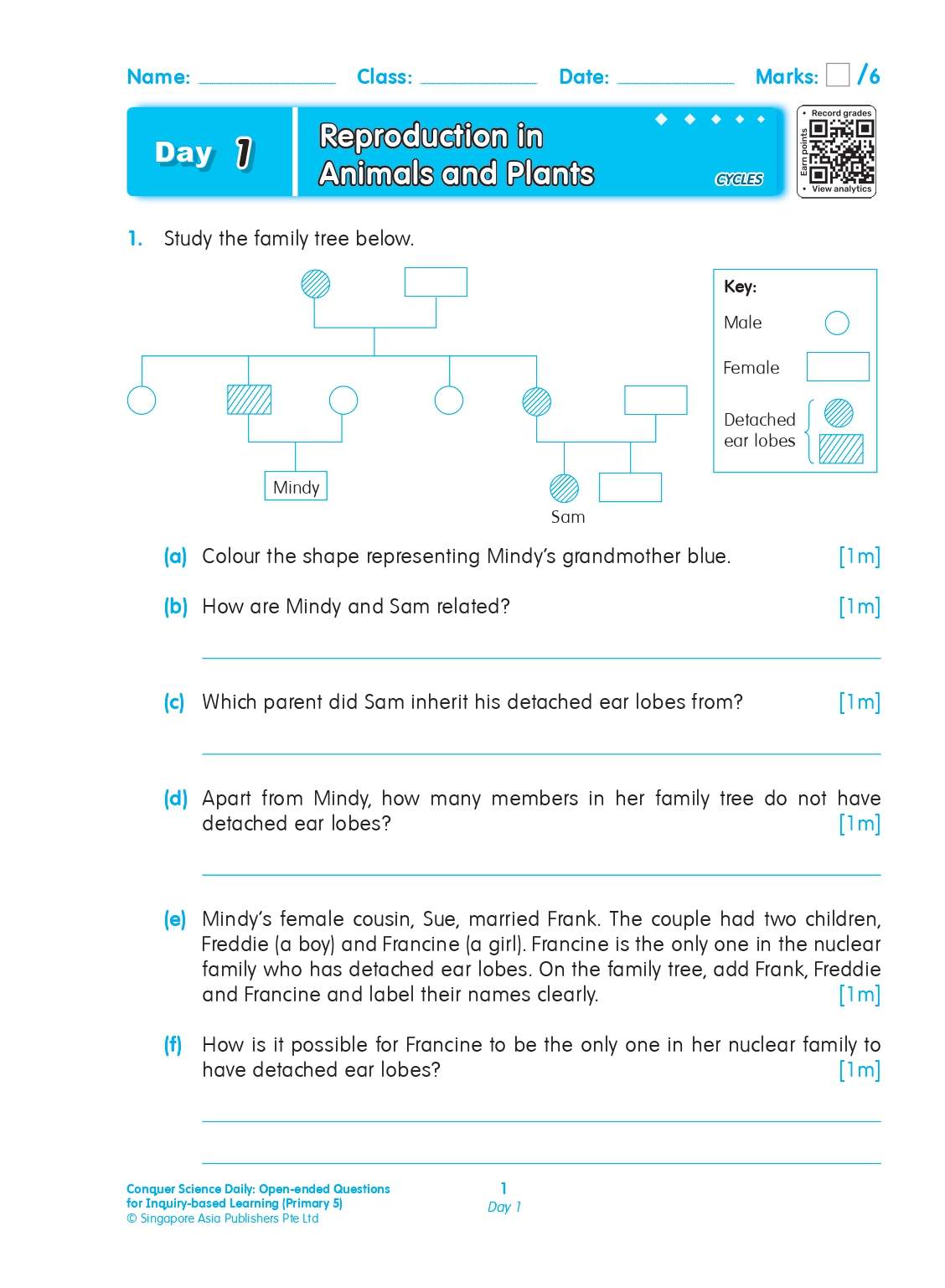 Conquer Science Daily Open-ended Questions for Inquiry-based Learning Primary 5