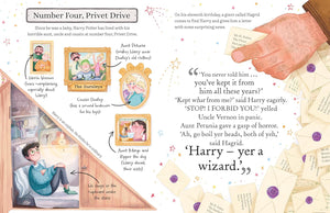 Harry Potter (Pocket Potters – Little Guides to the HARRY POTTER stories) Hardcover