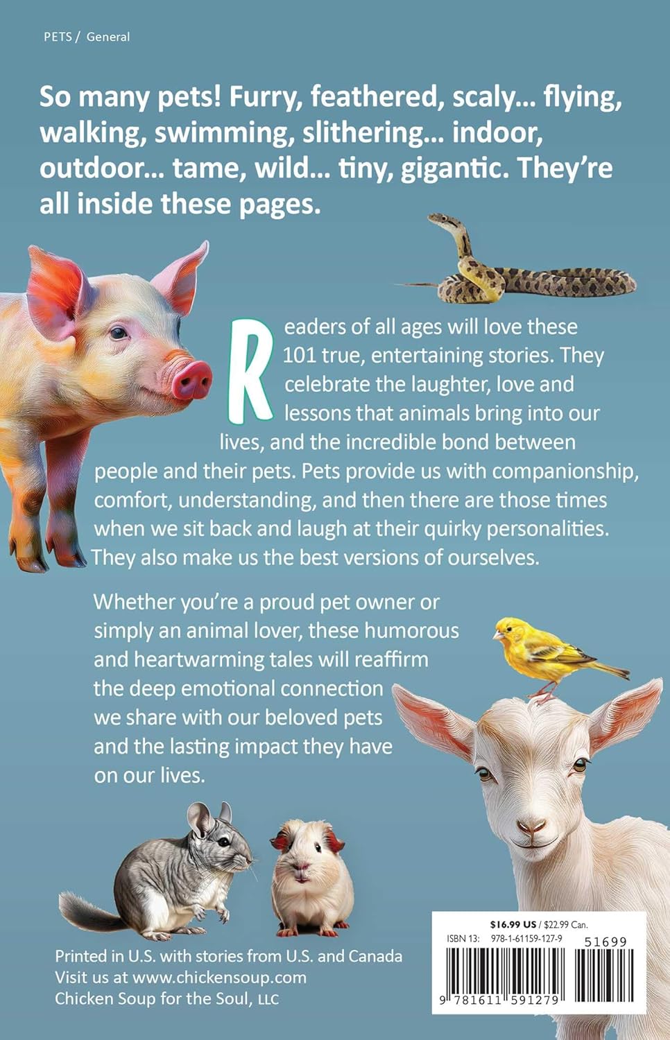 Chicken Soup for the Soul: Pets, Pets, Pets