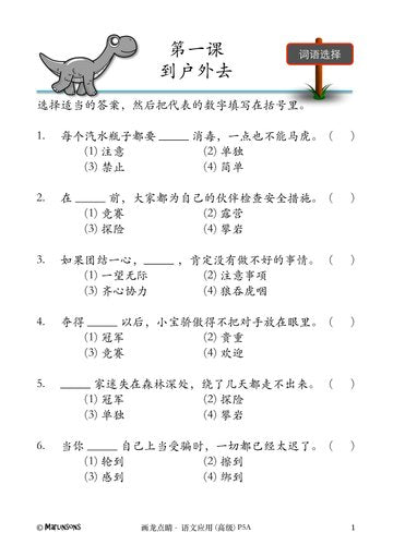 P5A 画龙点睛-高级华文语文应用-2nd Edition
