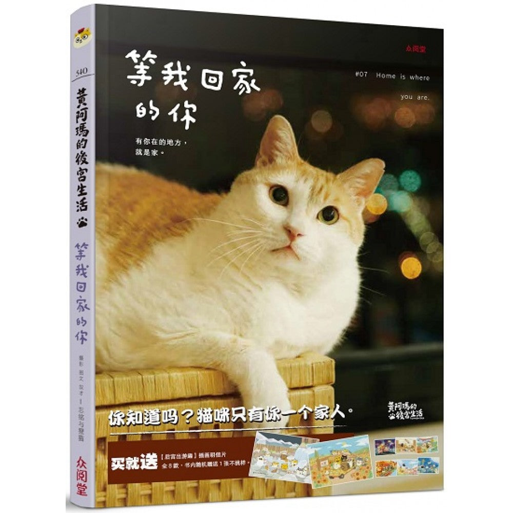 黄阿玛的后宫生活：等我回家的你