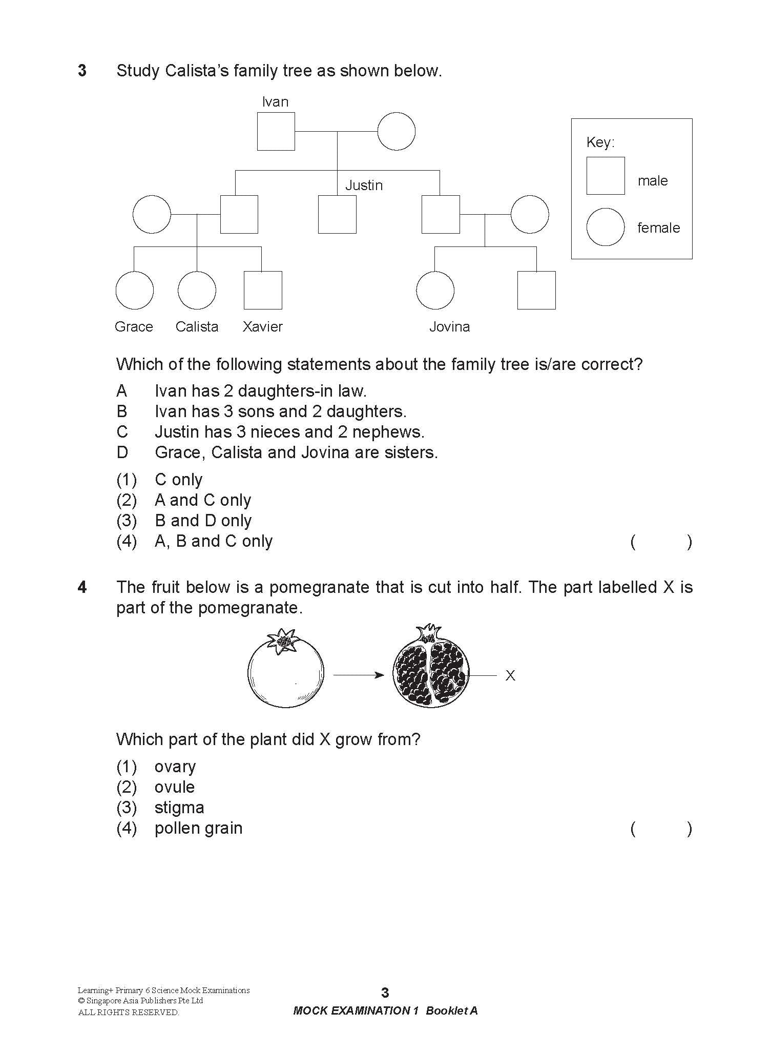 Primary 6 LEARNING+ Science Mock Examinations -2nd Edition