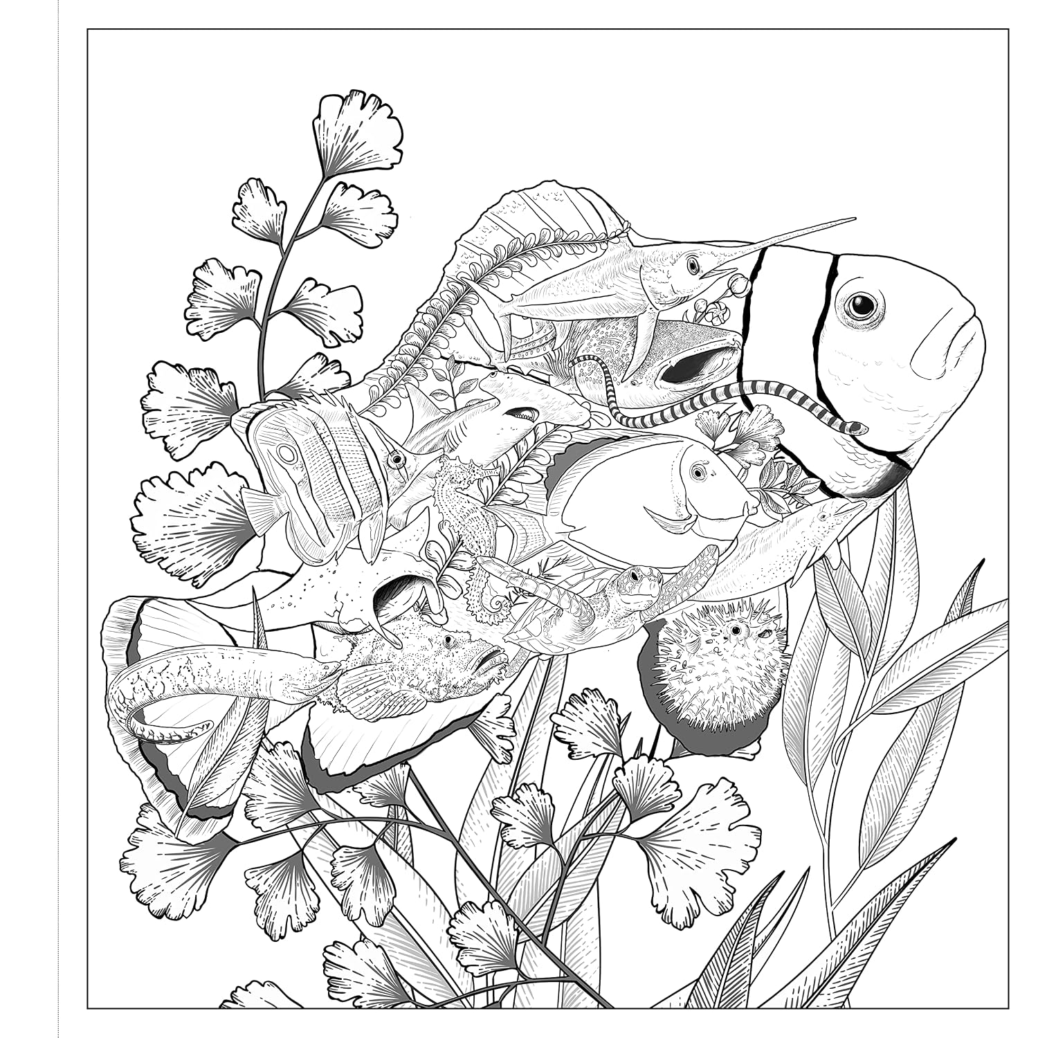 Imaginaria: In The Wild: An Artist's Coloring Book of Wonders Inside the Lines (Paperback)