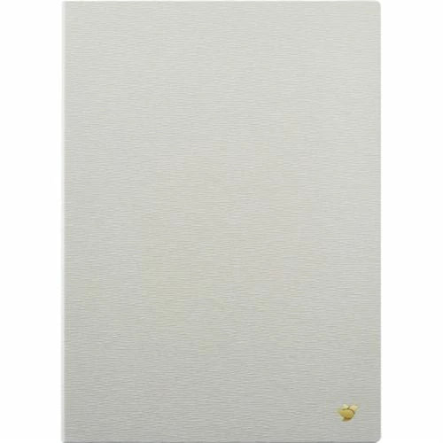 iFLYTEK AINOTE2 Case