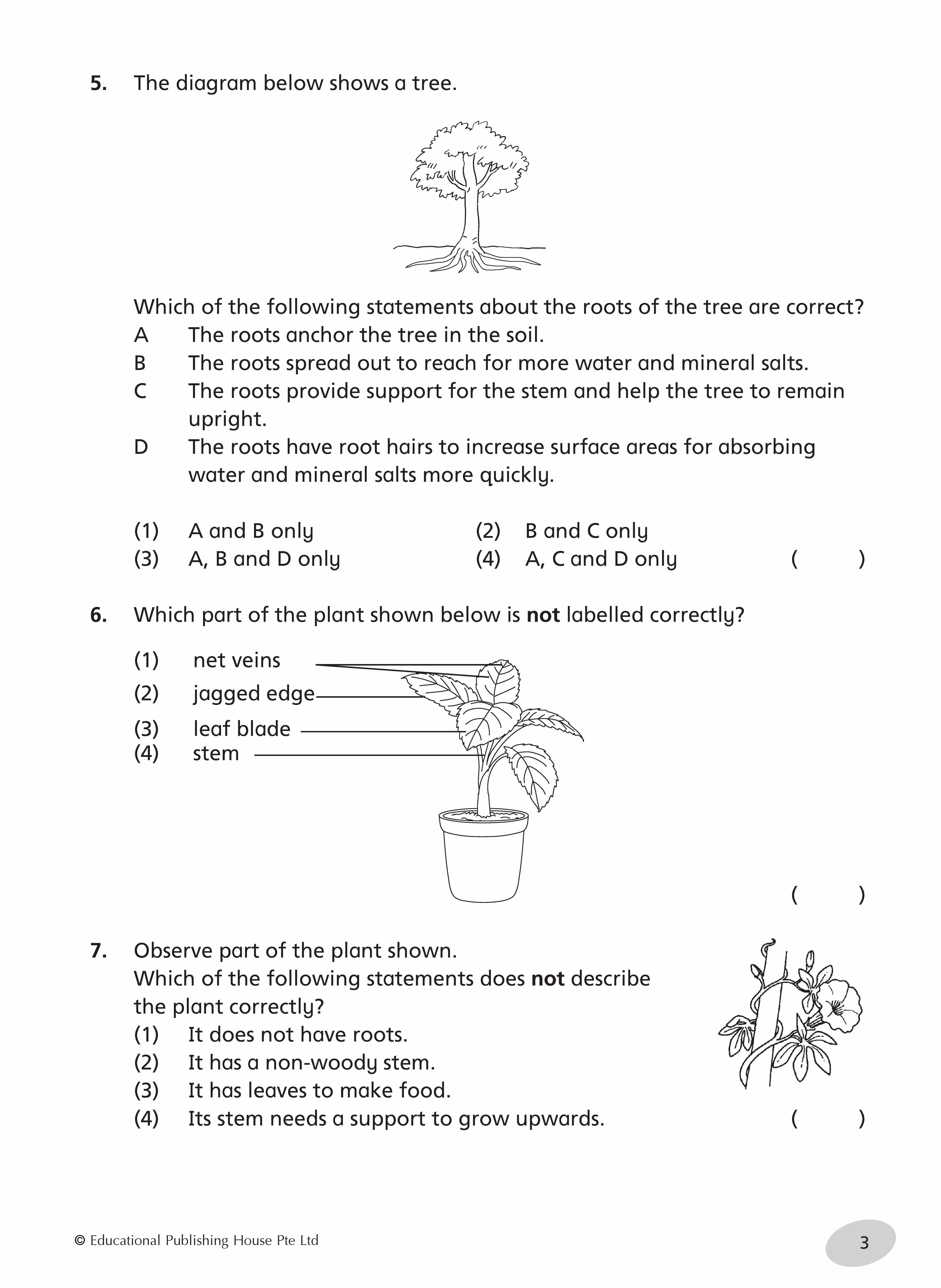 Primary 4 Science Tests