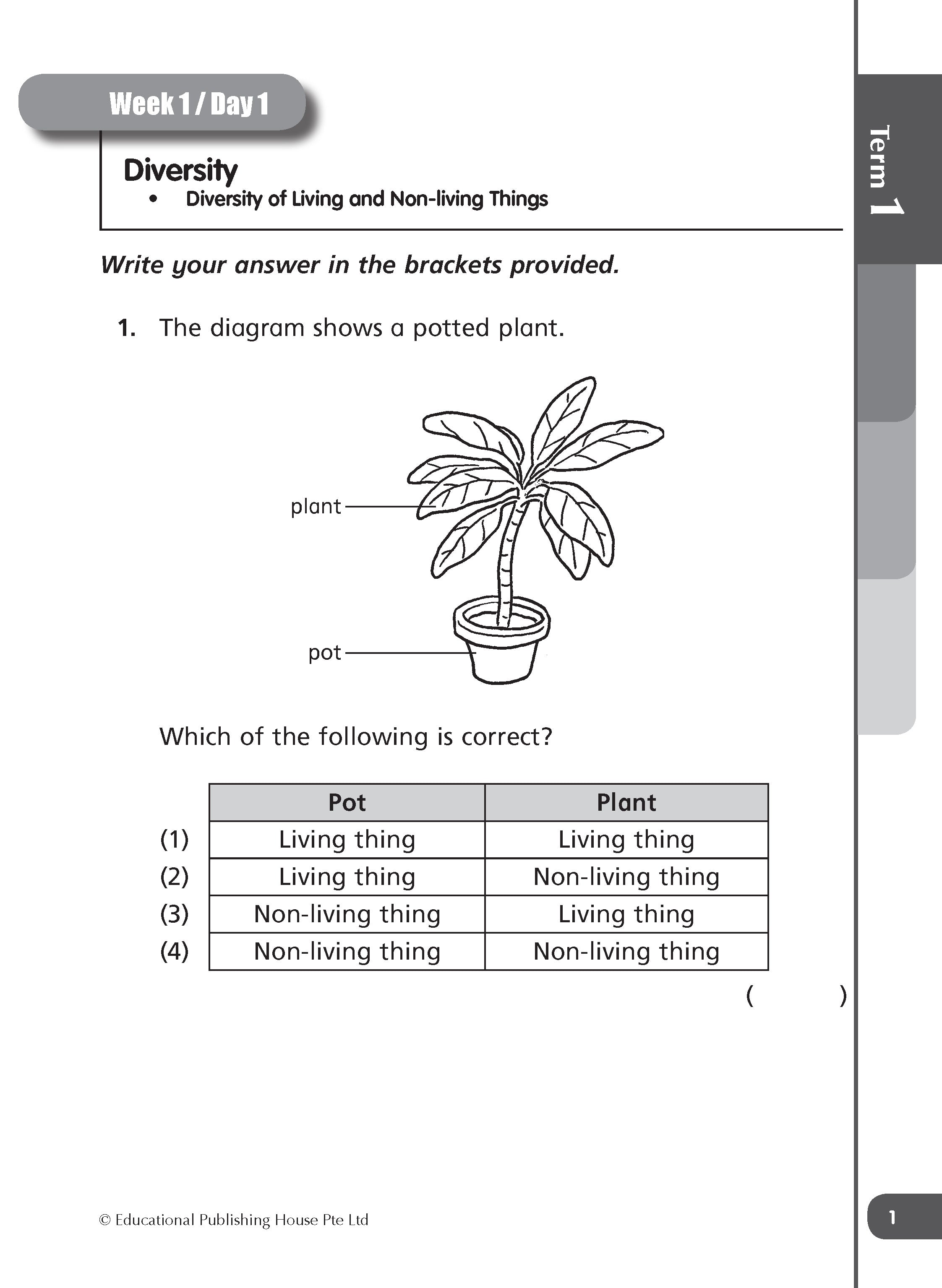 Primary 3 Daily Dose of Science (2nd Edition)