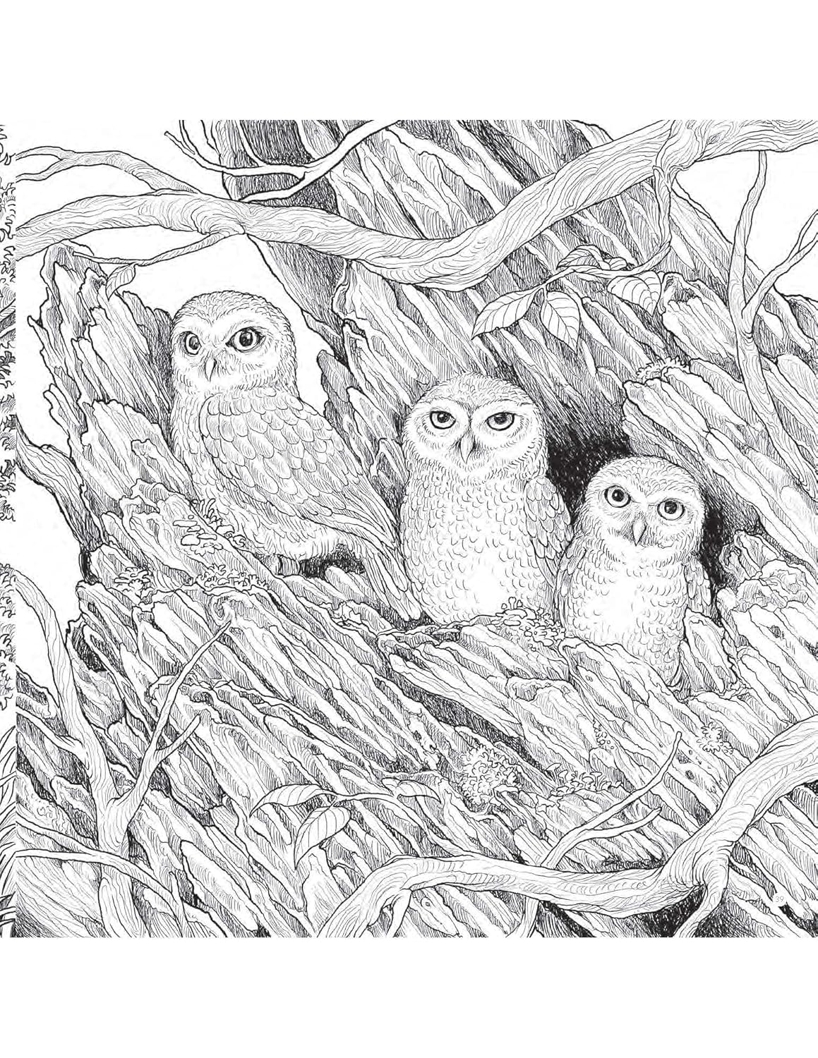 Fragile World Colouring Book