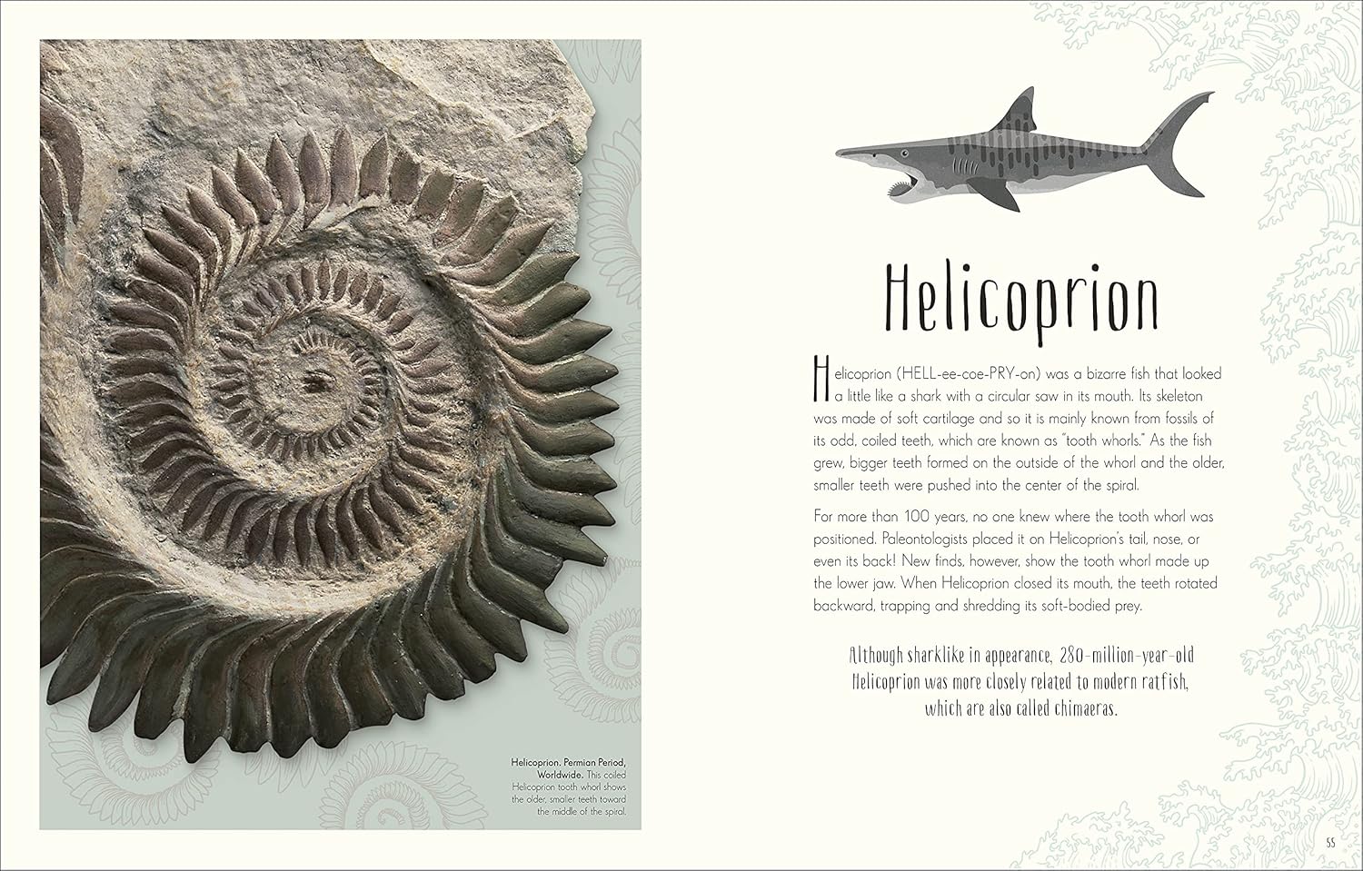 Dinosaurs and Other Prehistoric Life (Hardcover)