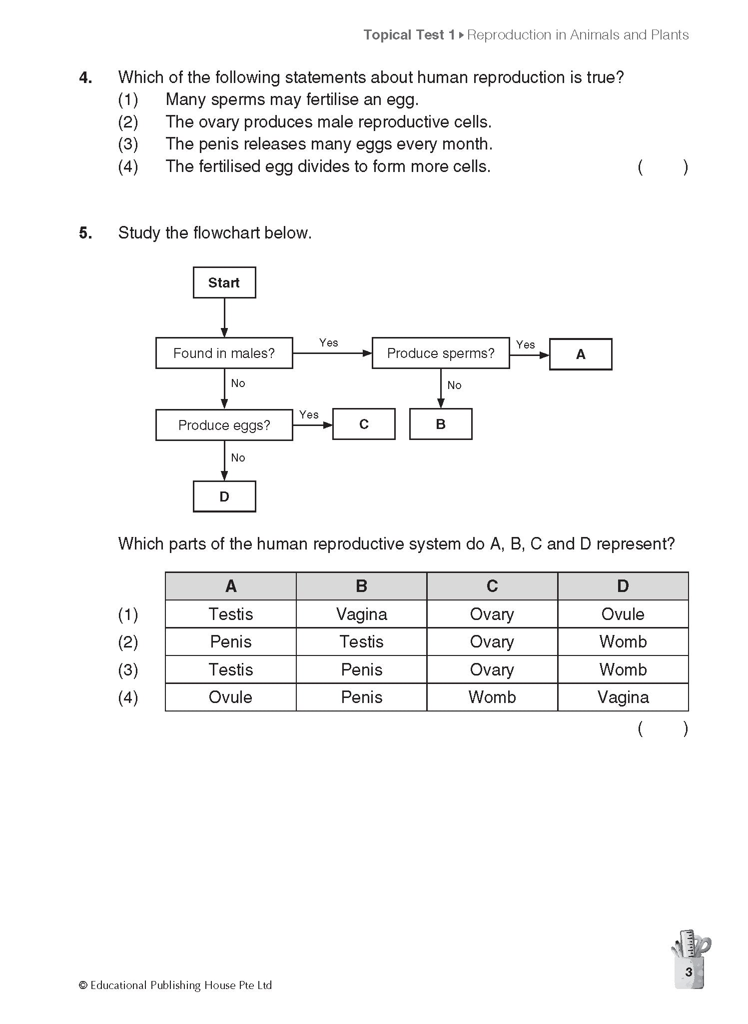 Primary 5 Science Topical And Thematic Tests
