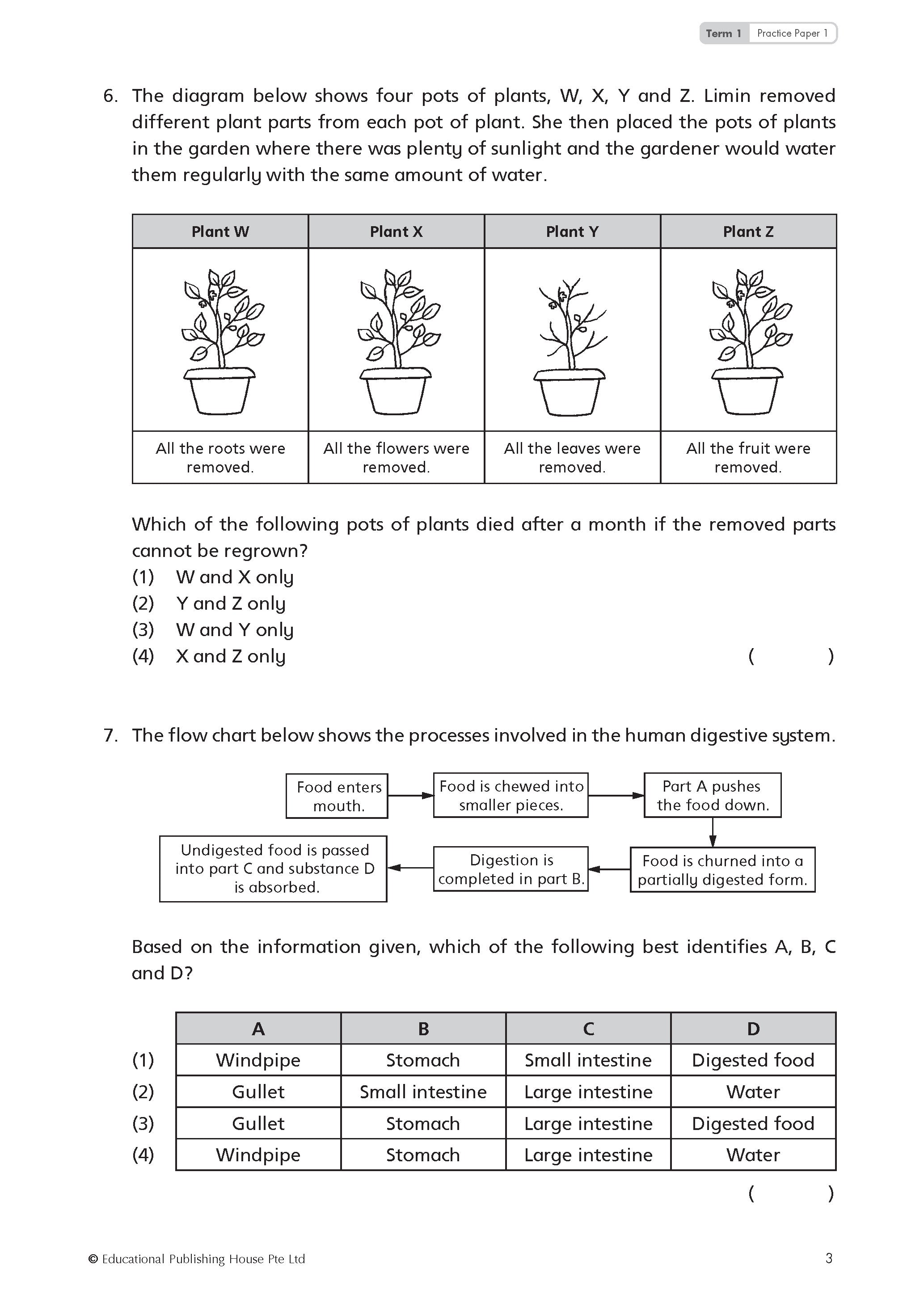 P6 TOP Science Practice Papers 
