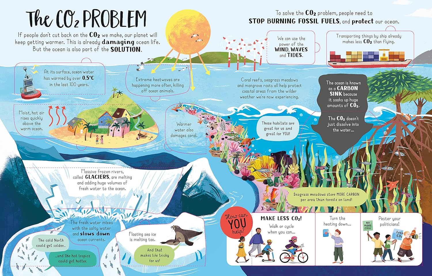 Lift-the-Flap Looking After Our Ocean (Board Book)