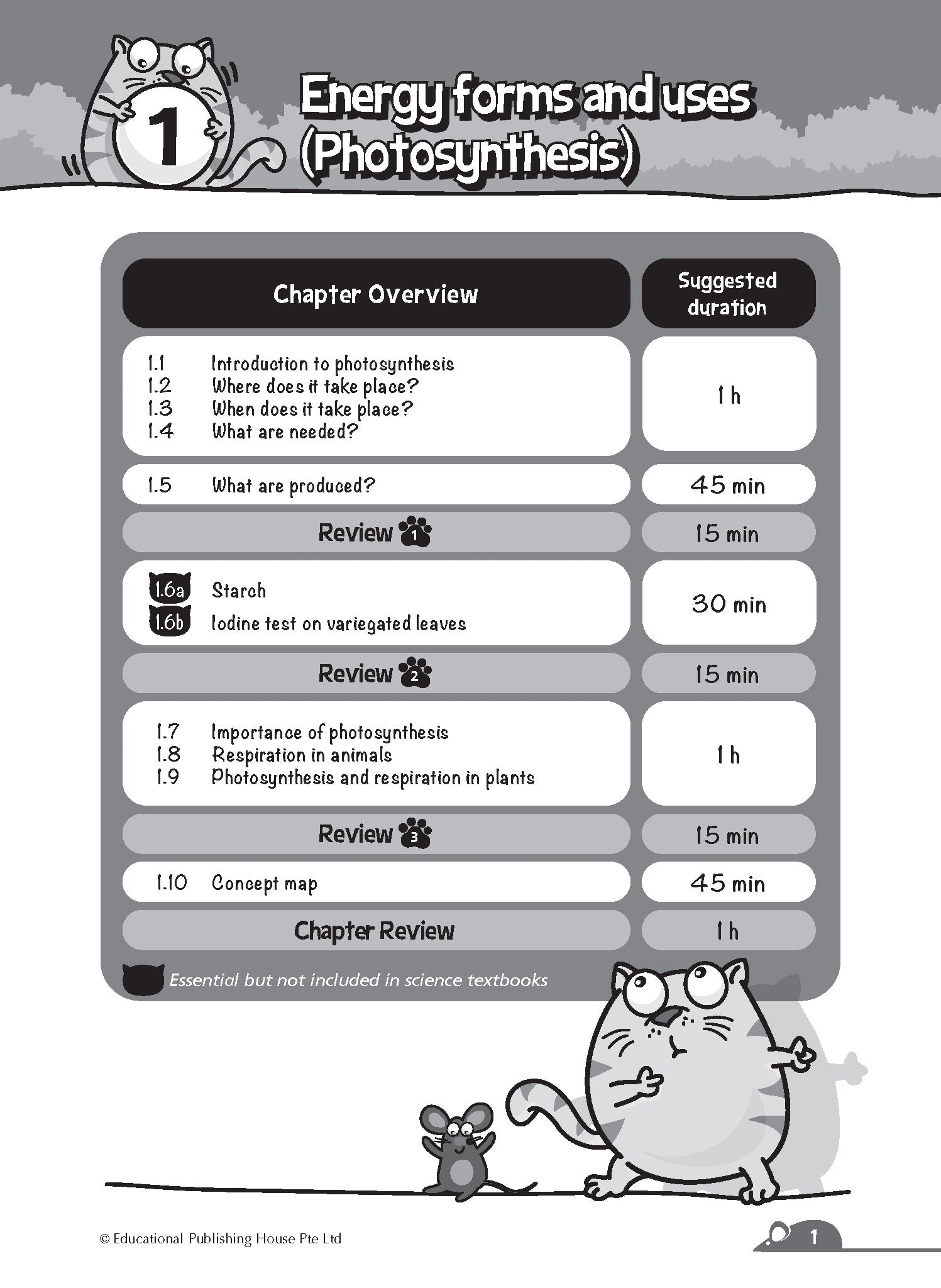P6 Complete Science Essentials 