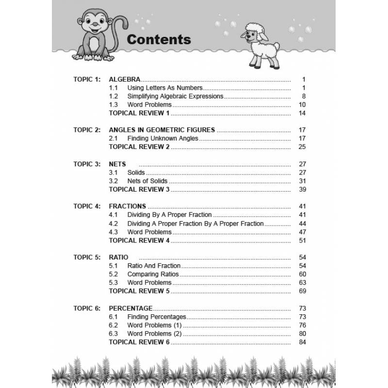 Lesson By Lesson Maths Primary 6