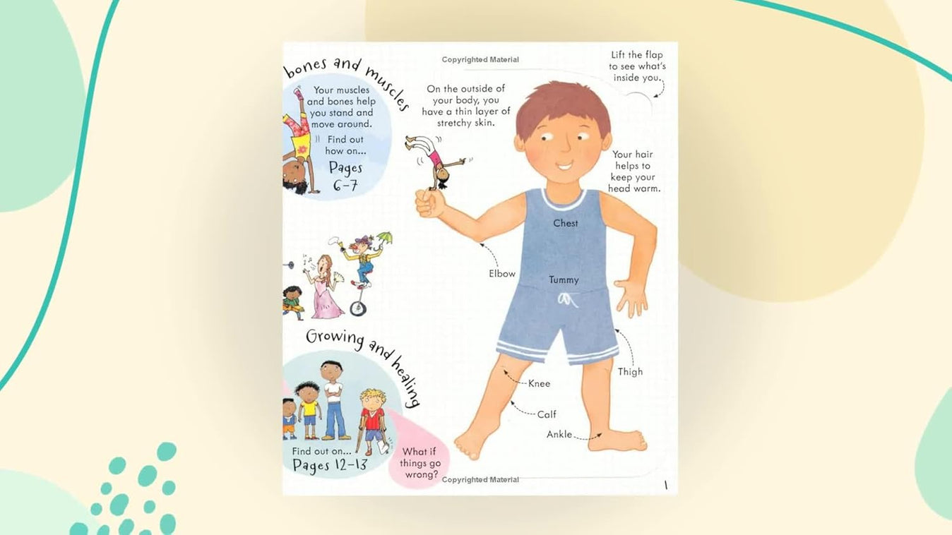 Look Inside Your Body