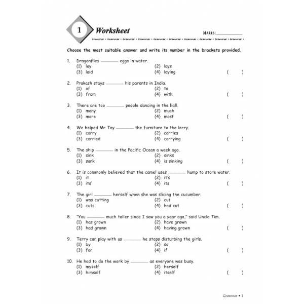 Primary 3 Grammar & Vocabulary