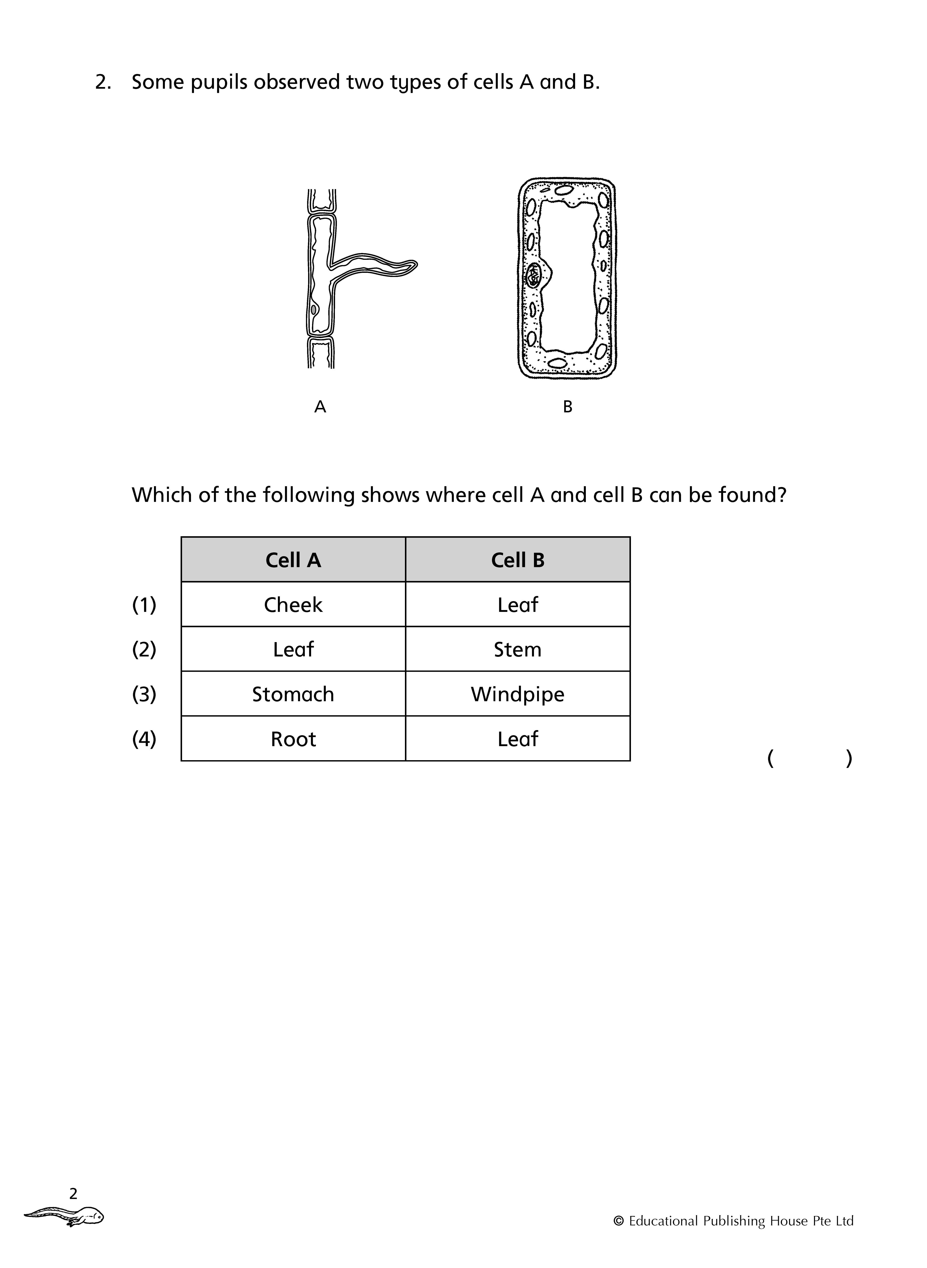 Primary 5 Science Topical Class Tests - 3rd Edition