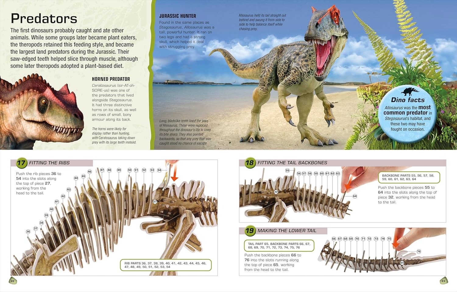 Make Your Own Stegosaurus (Hardcover) 