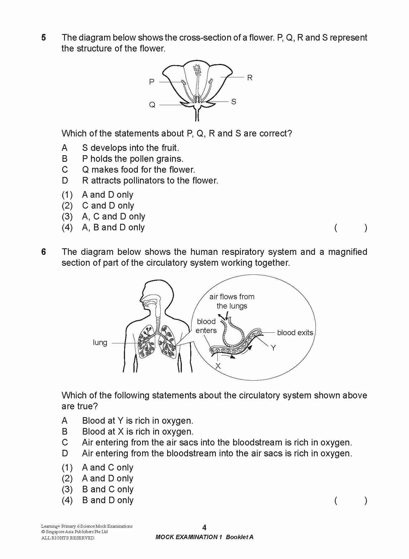 Primary 6 LEARNING+ Science Mock Examinations -2nd Edition