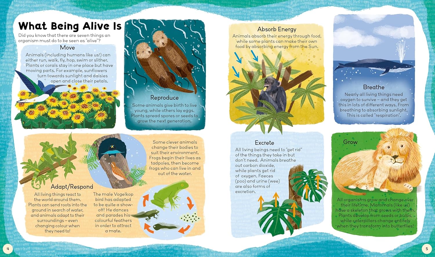 Natural World by Gemma Barder & Saranne Taylor