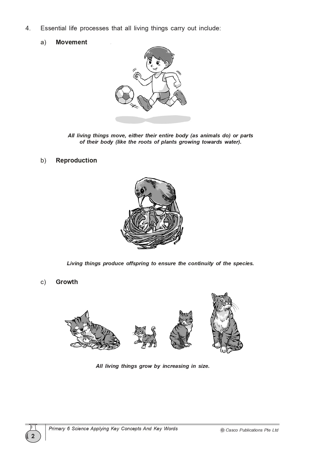 Science Applying Key Concepts & Key Words Primary 6 - 2nd Edition