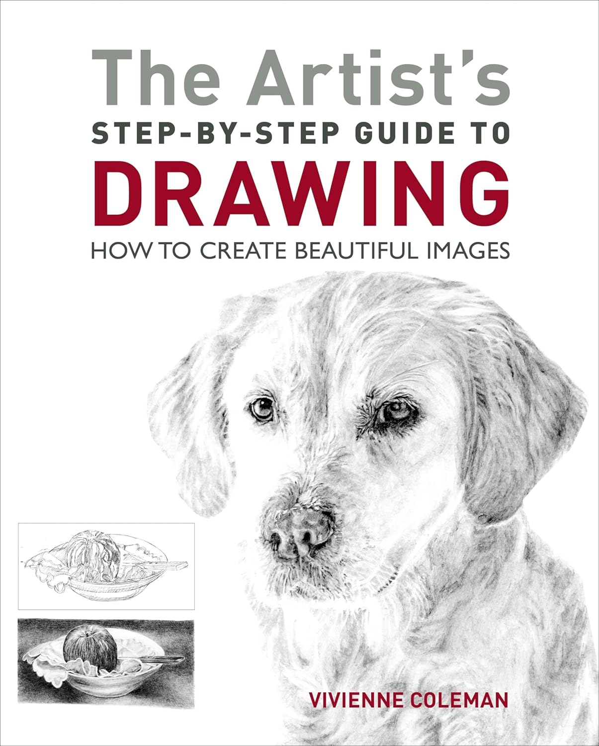 The Artist's Step-by-Step Guide to Drawing : How to Create Beautiful I ...