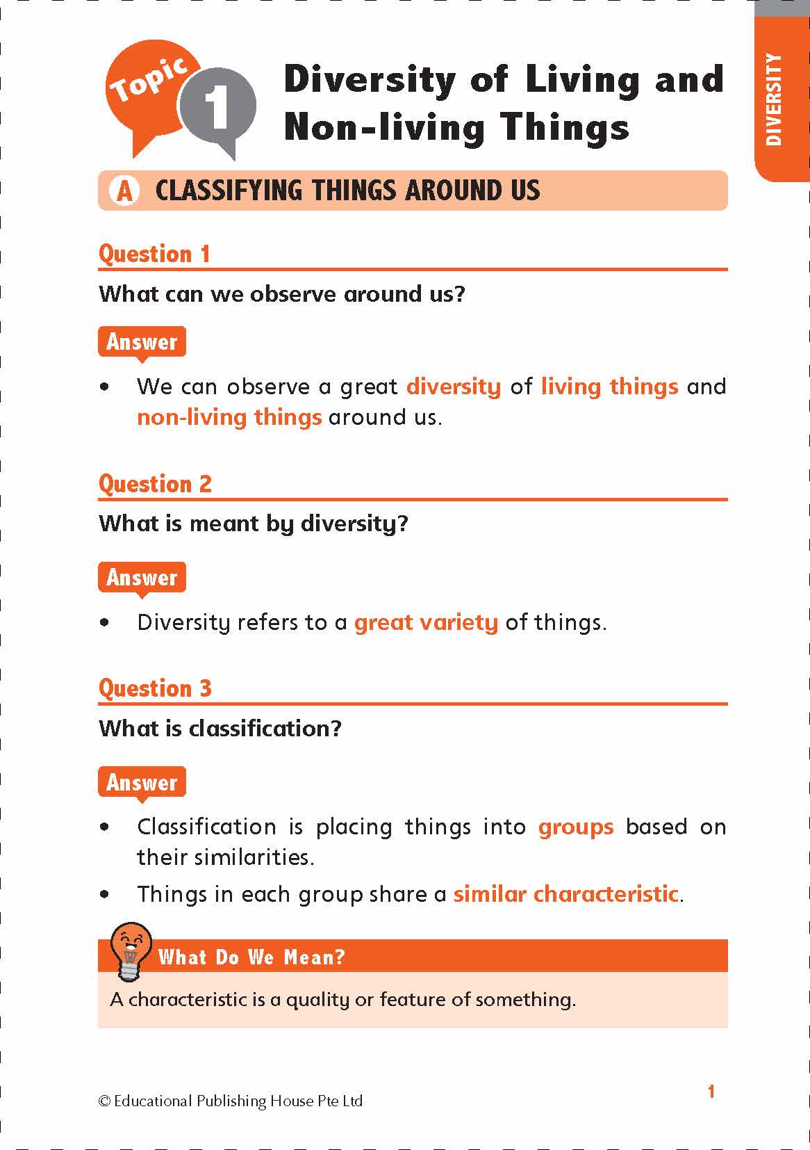 Primary 3 Science Quick and Effective Q&A