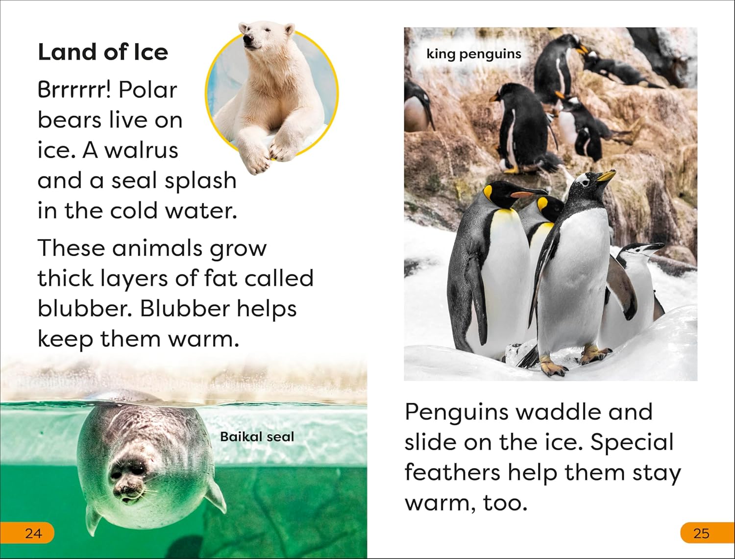 A Trip To The Zoo (DK Super Readers Level 1) – Paperback