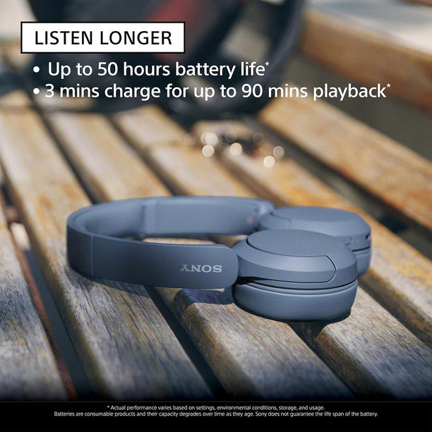 Sony Wh-ch520 Wireless Headphone