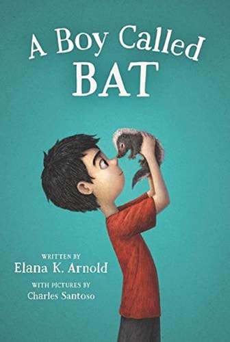 The Bat Series #01: A Boy Called Bat