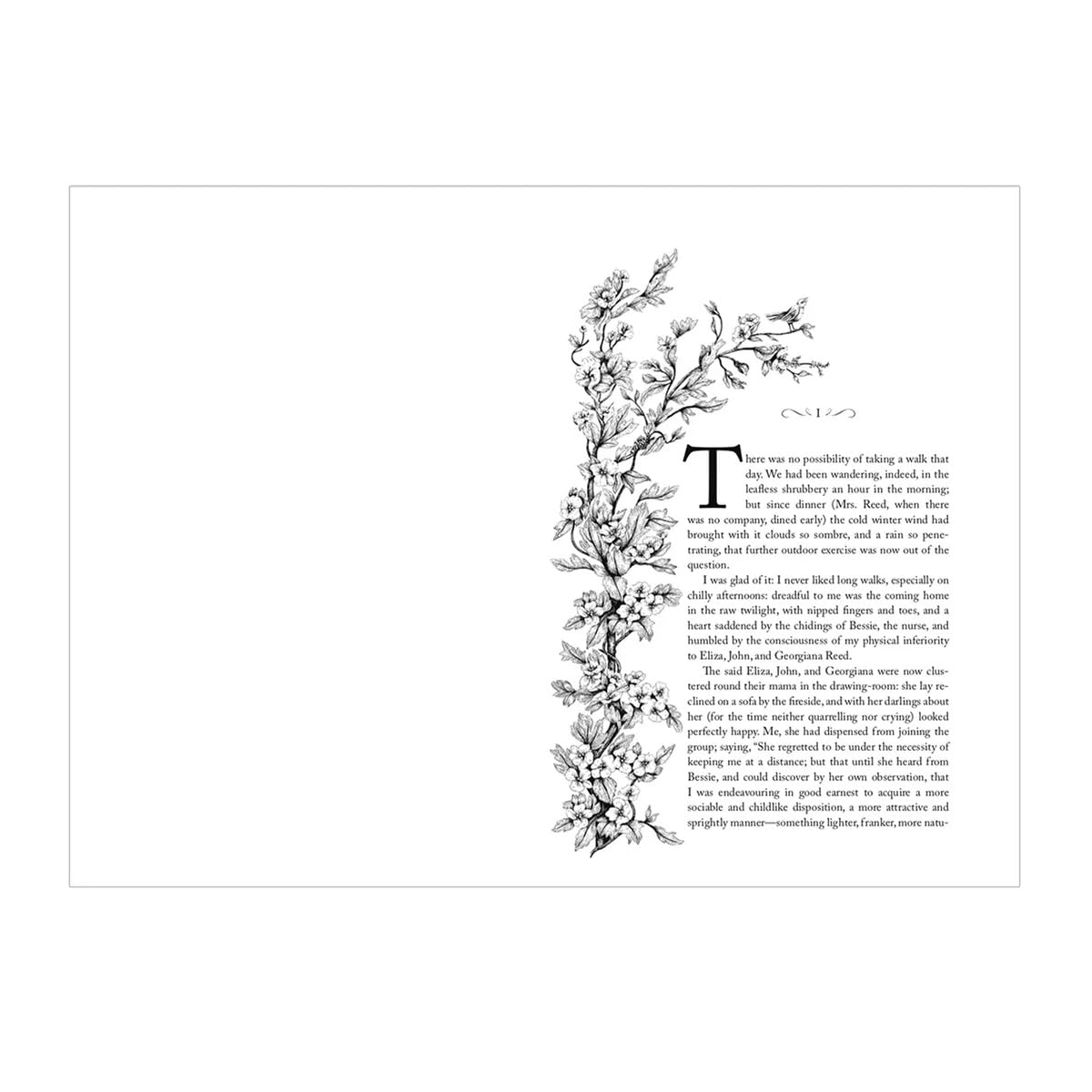 New Cranford: Jane Eyre (Hardcover)