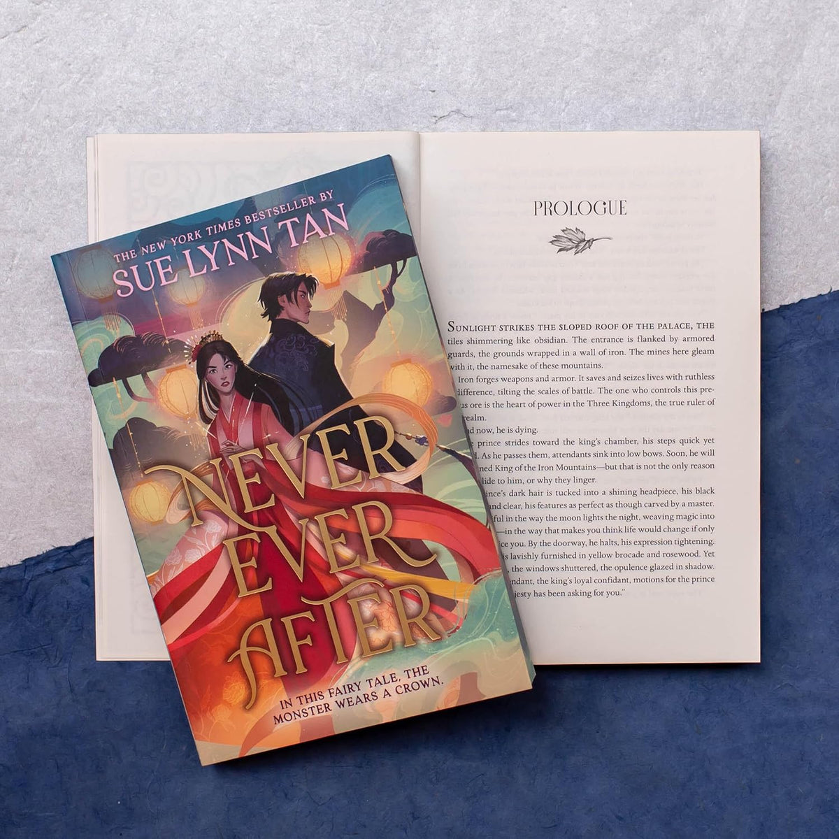 Never Ever After (Special Limited Edition) Paperback
