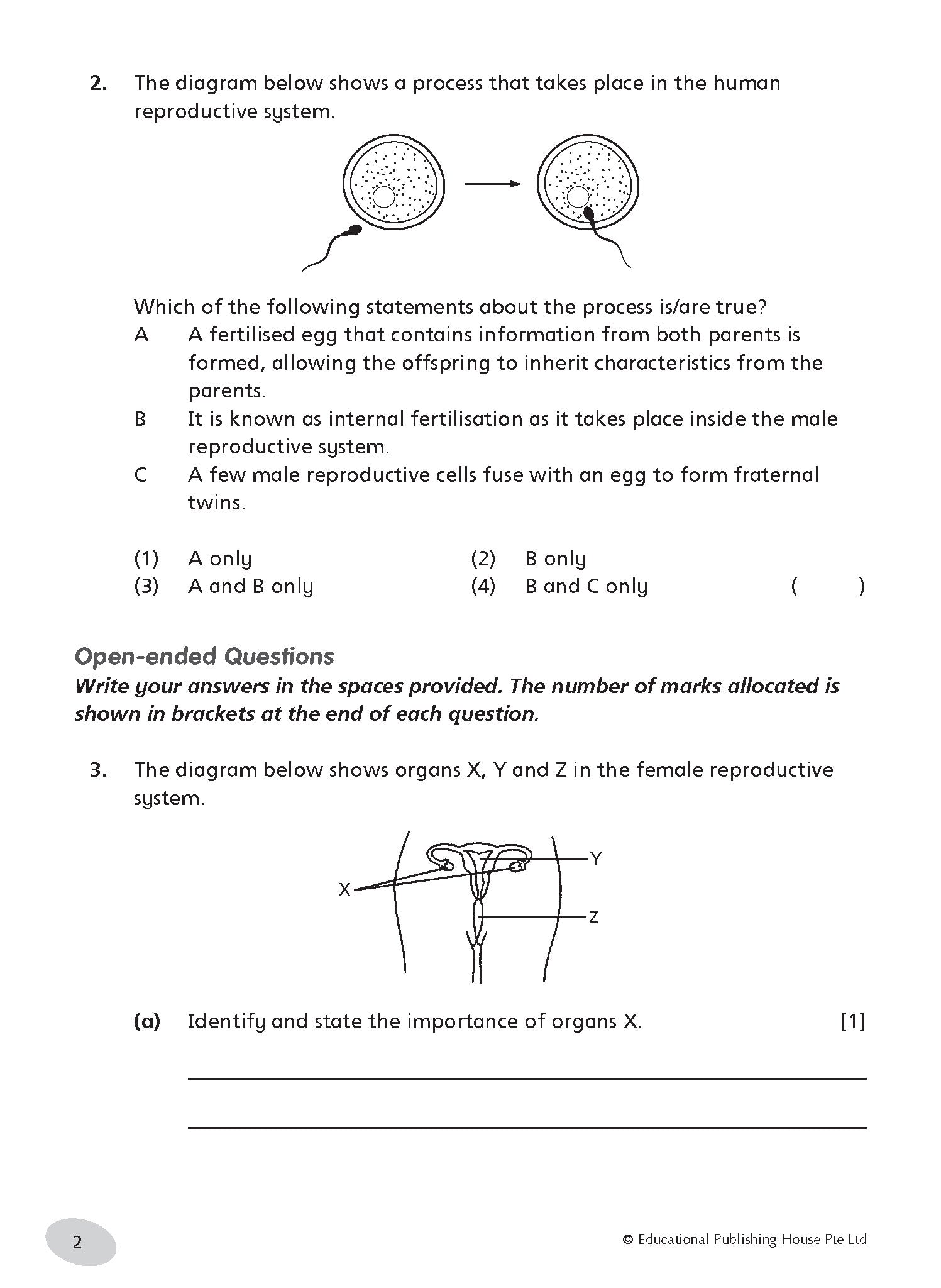 Primary 5 Science Tests