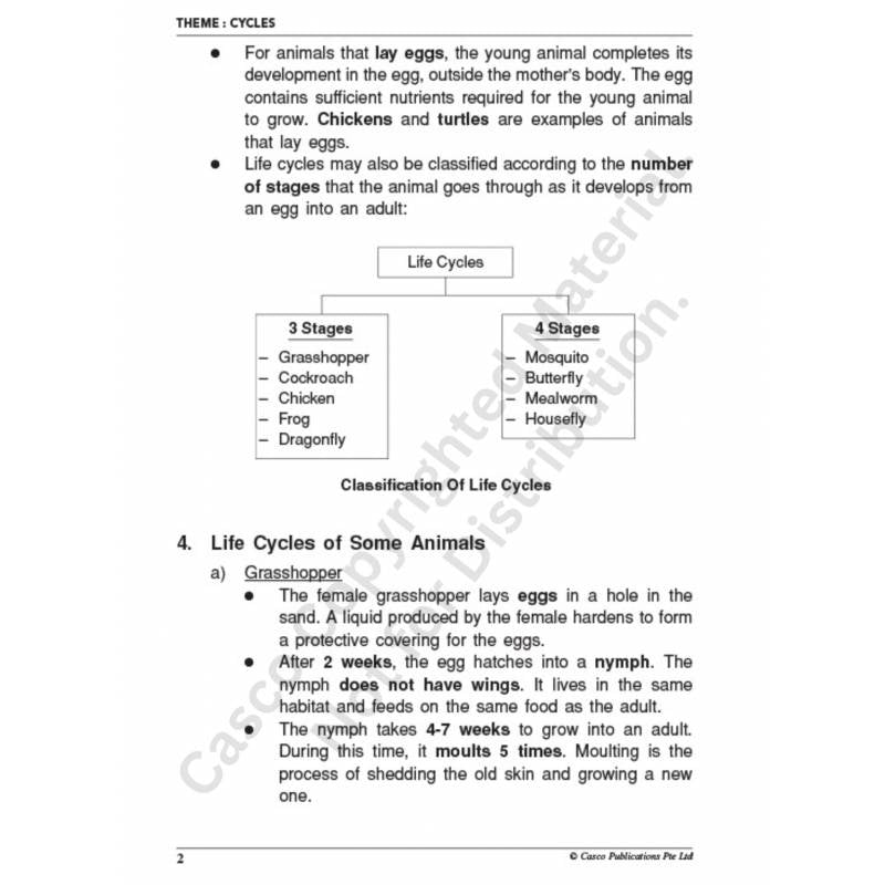 Classroom Science Process Skills Primary 4