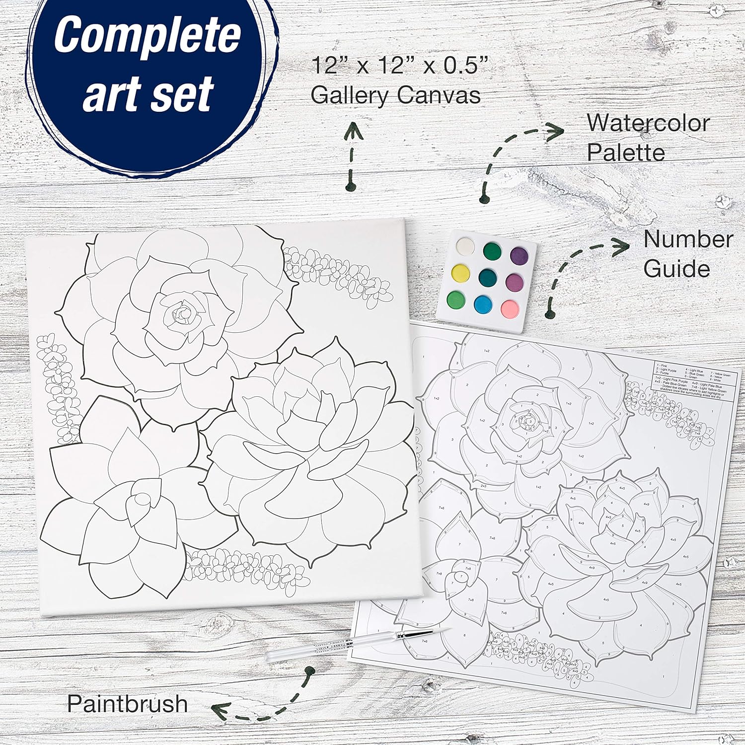 Faber-Castell Watercolour Paint by Number, Succulents-770633